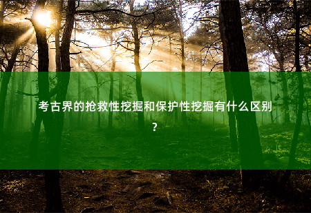 考古界的抢救性挖掘和保护性挖掘有什么区别？-掌中文学