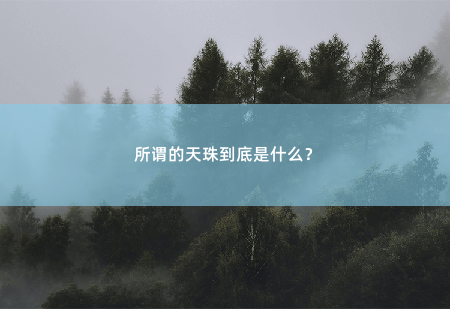 所谓的天珠到底是什么？-掌中文学