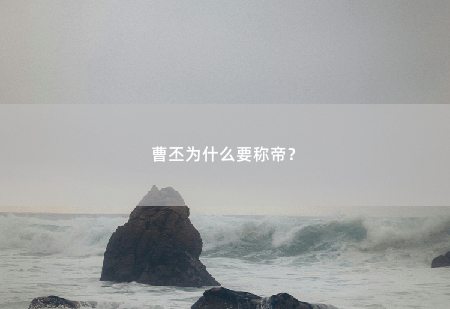 曹丕为什么要称帝？-掌中文学