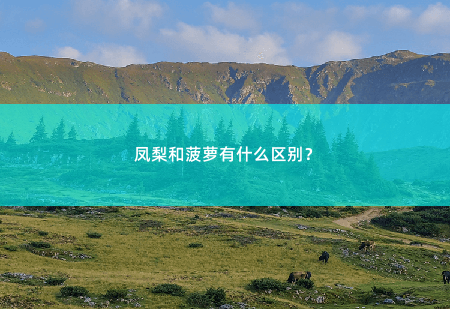 凤梨和菠萝有什么区别？细说凤梨和菠萝-掌中文学