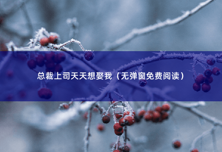 总裁上司天天想娶我（无弹窗免费阅读） 许清欢不是助理吗 -掌中文学