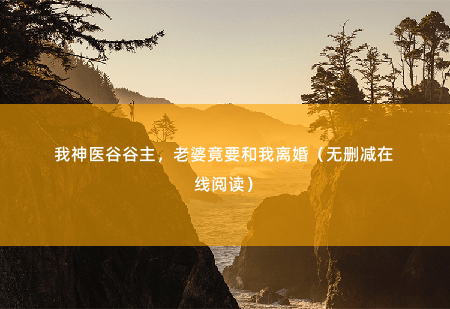 我神医谷谷主，老婆竟要和我离婚（无删减在线阅读）家族飞黄腾达，却嫌弃起孙准浩-掌中文学