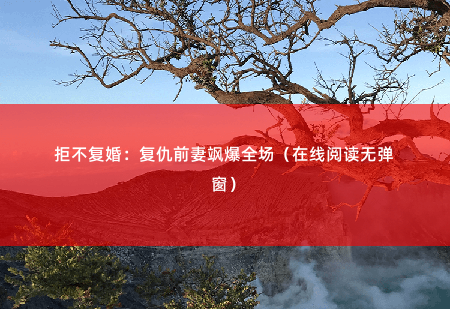 拒不复婚：复仇前妻飒爆全场（在线阅读无弹窗） 孤身一人的叶轻离走的每一步都很成功-掌中文学