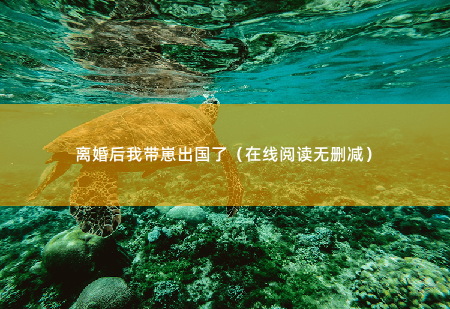 离婚后我带崽出国了（在线阅读无删减）半天不说话，不会是个哑巴吧？-掌中文学