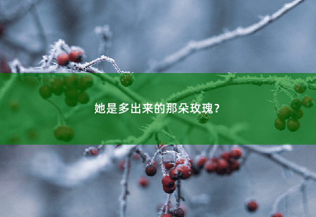 她是多出来的那朵玫瑰？凌总最好别爱而不自知-掌中文学