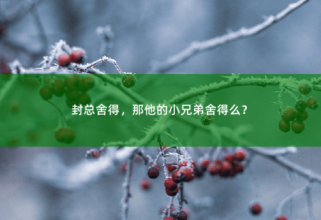 封总舍得，那他的小兄弟舍得么？杨总监段位高啊-掌中文学