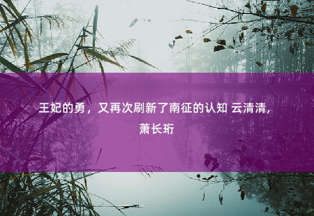 王妃的勇，又再次刷新了南征的认知 云清清, 萧长珩穿越后，她靠玄术震惊朝野-掌中文学