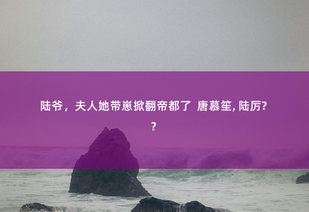 陆爷，夫人她带崽掀翻帝都了  唐慕笙, 陆厉琛是不是我亲爸，可以亲子鉴定-掌中文学