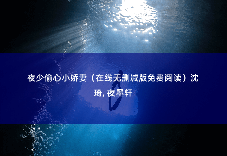 夜少偷心小娇妻（在线无删减版免费阅读）沈琦, 夜墨轩妻子应尽的义务-掌中文学