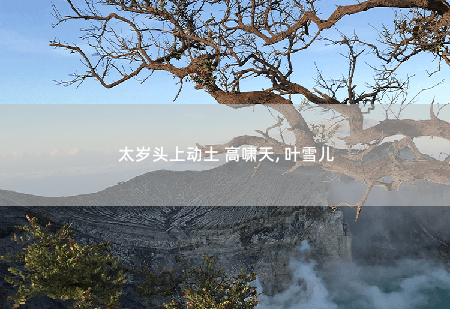  太岁头上动土 高啸天, 叶雪儿神爸无双-掌中文学