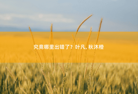 究竟哪里出错了？叶凡, 秋沐橙弃婿归来-掌中文学