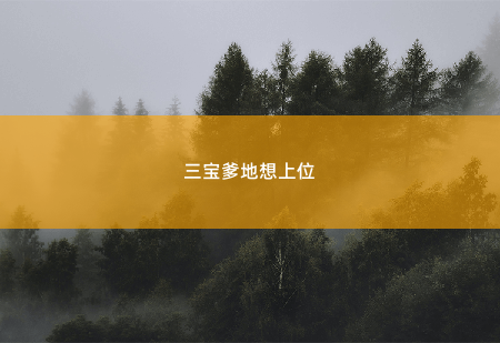 三宝爹地想上位死路一条-掌中文学
