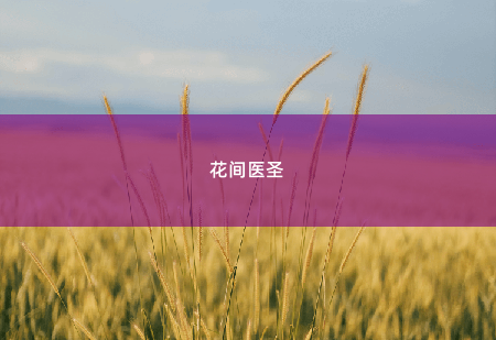 花间医圣出轨-掌中文学