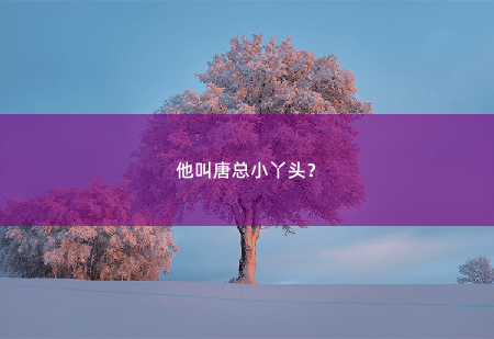 他叫唐总小丫头？师娘自重，我有未婚妻！-掌中文学