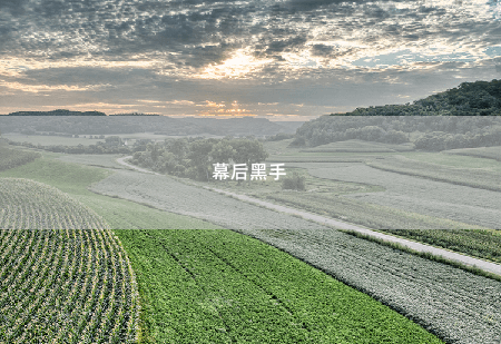 幕后黑手鬼医下山-掌中文学