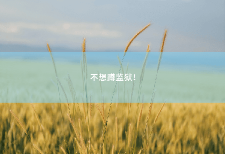  不想蹲监狱！风流医仙-掌中文学