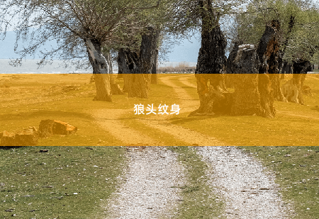 狼头纹身 天才三宝：神秘爹地是大佬-掌中文学